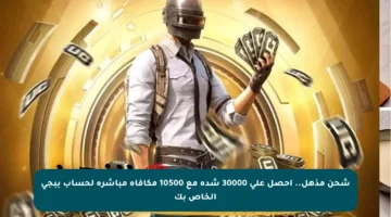 شحن مذهل.. احصل على 30000 شدة مع 10500 مكافأة مباشرة لحساب ببجي الخاص بك